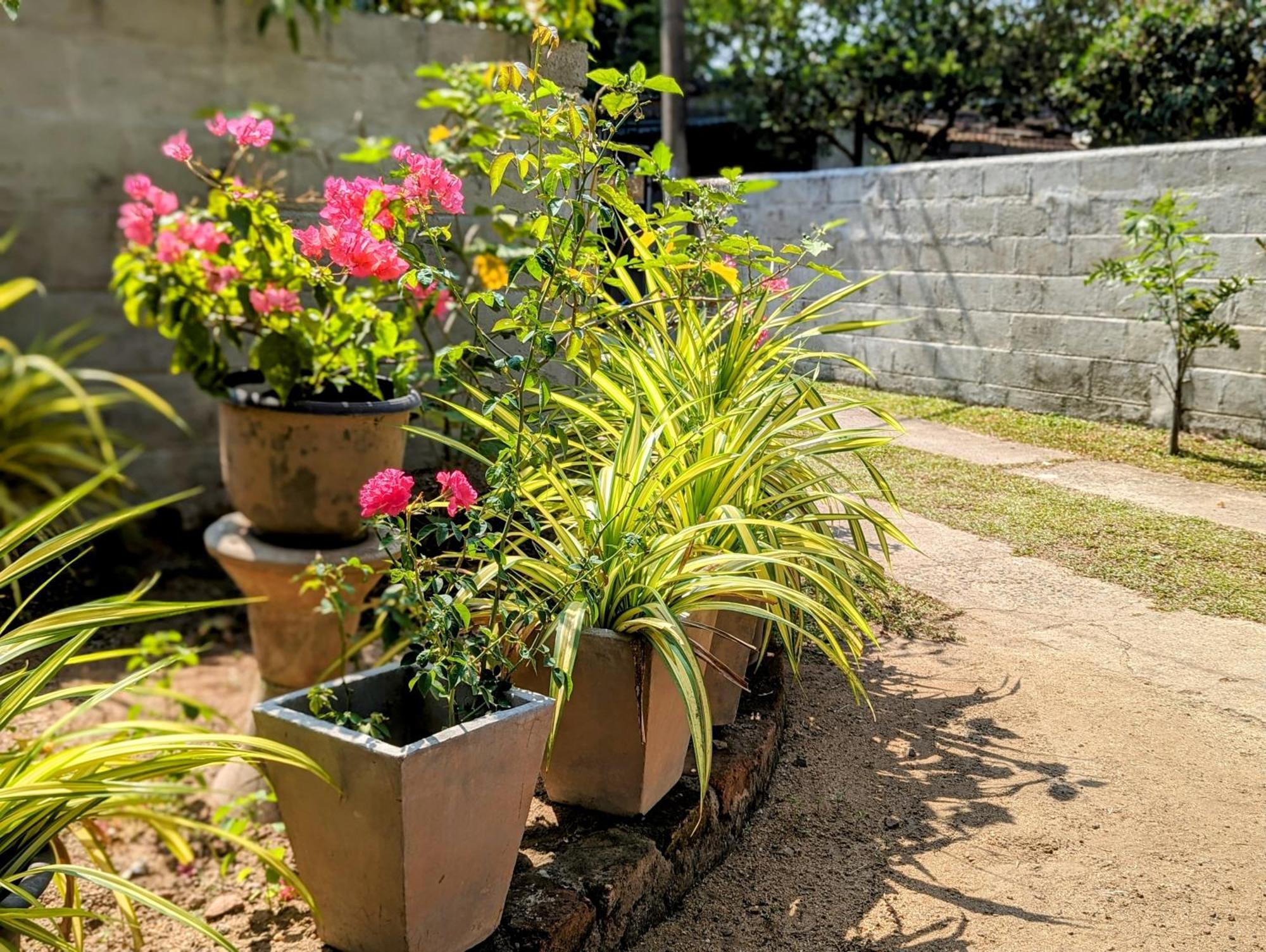 Villa 163 Νεγκόμπο Εξωτερικό φωτογραφία